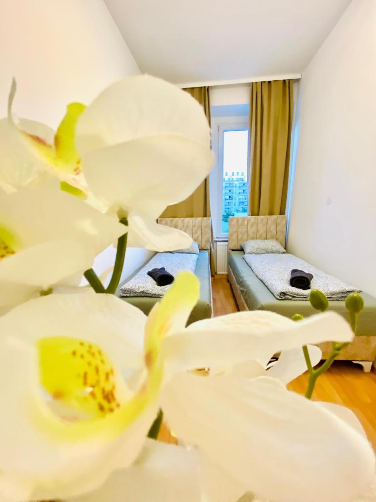 Bright 5Br Shared Apartment W Great Transport Link Vienna Exterior photo